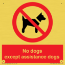 no-dogs-except-assistance-dogs~